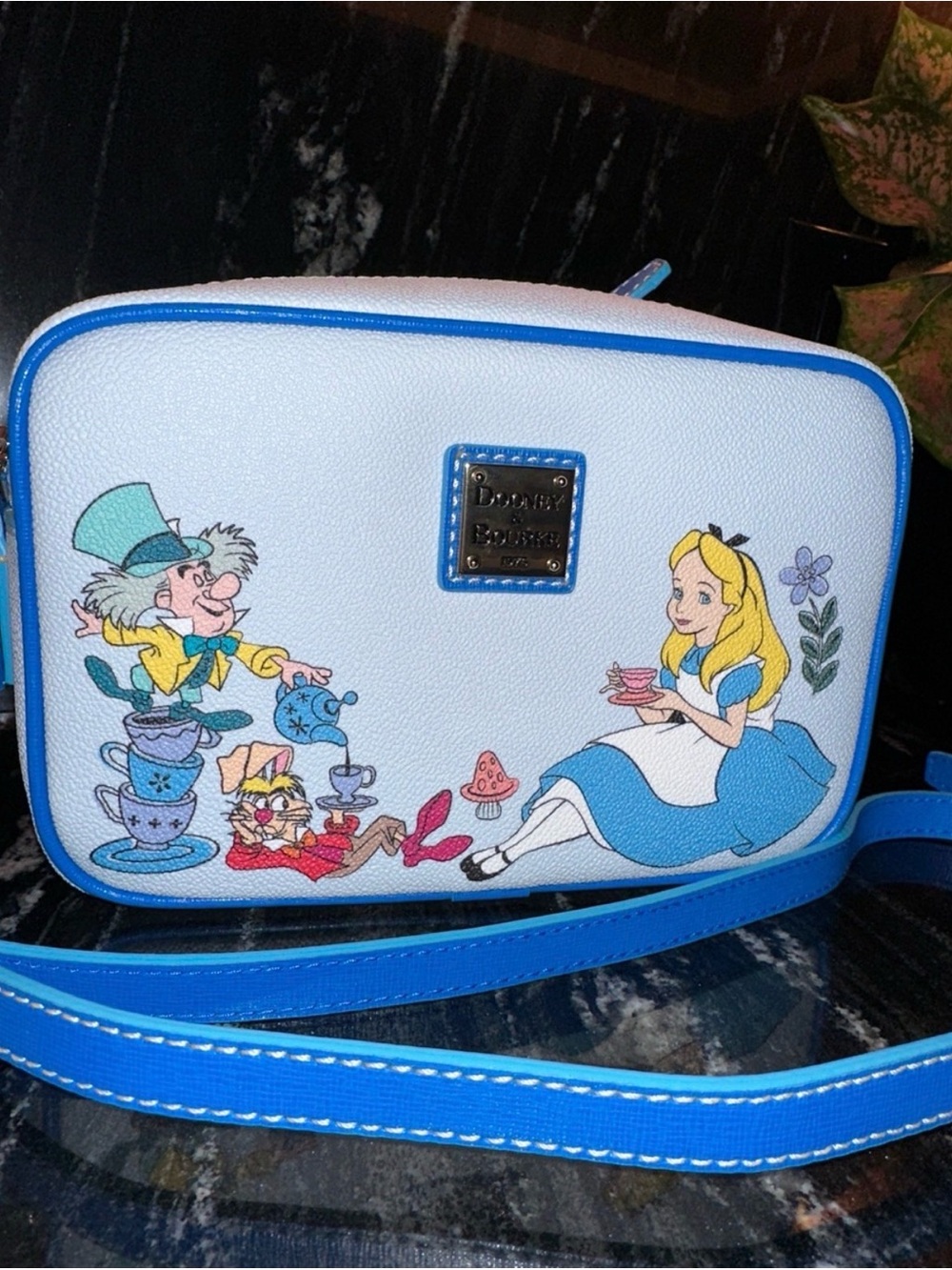 Alice in Wonderland Dooney & Bourke Camera Bag